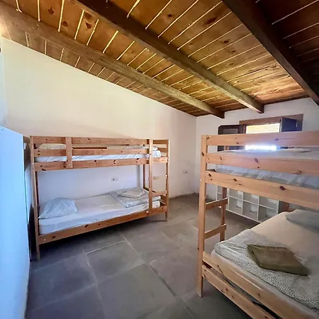 The Tree House Surf Camp Hostal