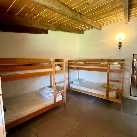 Hostel The Tree House Surf Camp