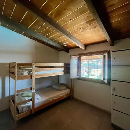 The Tree House Surf Camp アデヘ