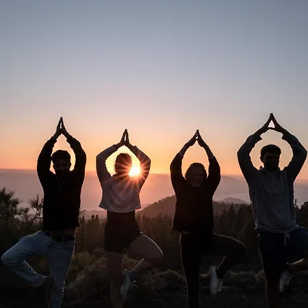 The Tree House Surf Camp