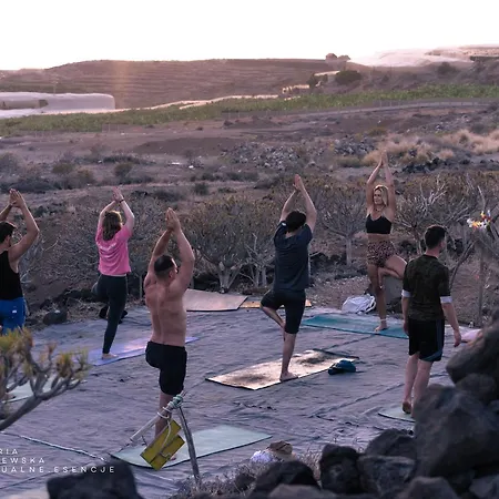 The Tree House Surf Camp *