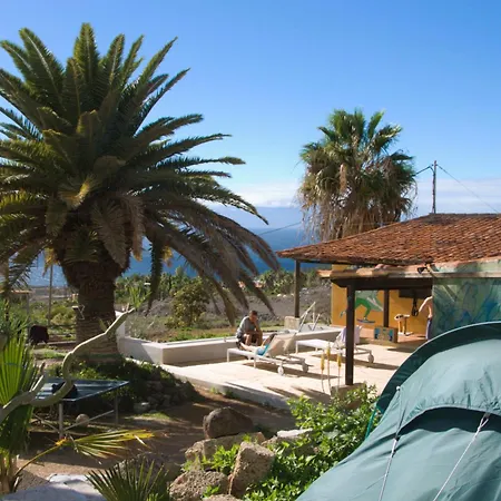 The Tree House Surf Camp Hostel *