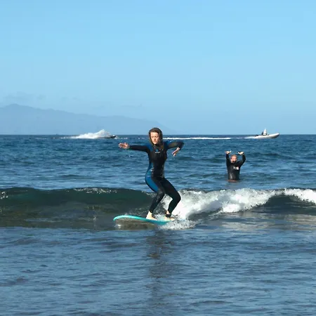The Tree House Surf Camp * 아데제