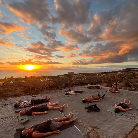 The Tree House Surf Camp * 아데제