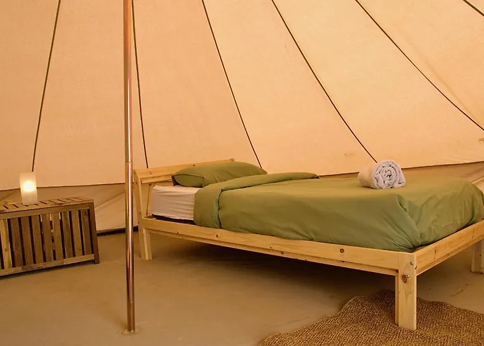 The Tree House Surf Camp 아데제