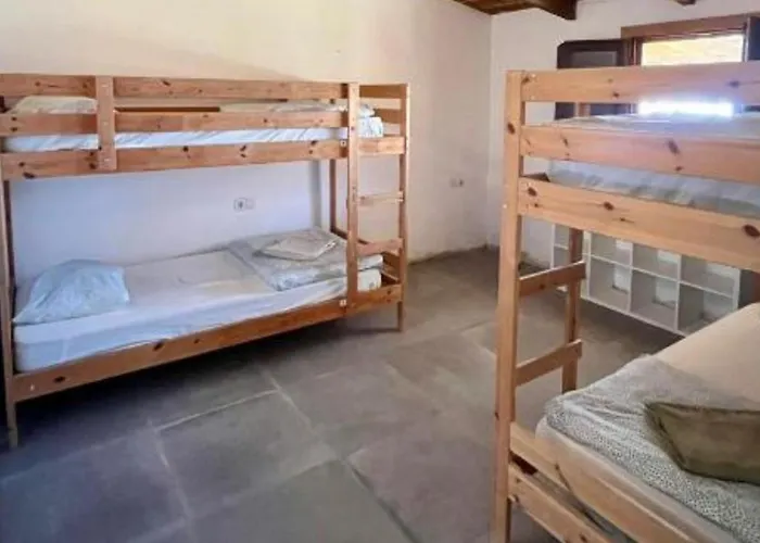 The Tree House Surf Camp 호스텔 *