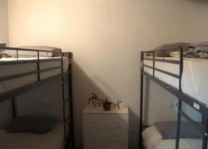 호스텔 The Tree House Surf Camp