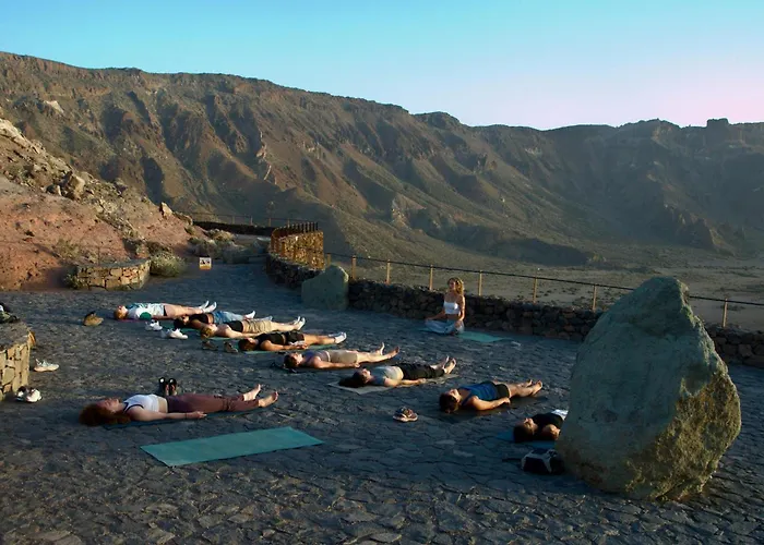 The Tree House Surf Camp 호스텔