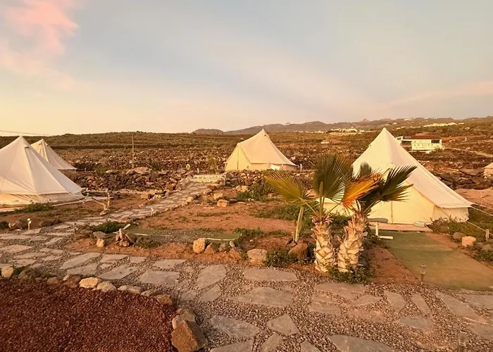 호스텔 The Tree House Surf Camp