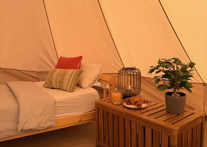 The Tree House Surf Camp 호스텔 아데제