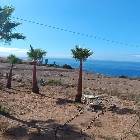 The Tree House Surf Camp Hostel