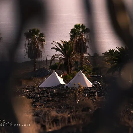 The Tree House Surf Camp Auberge de jeunesse *