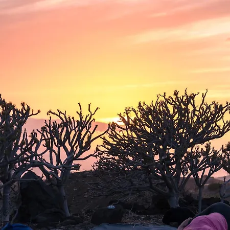 Hostel The Tree House Surf Camp