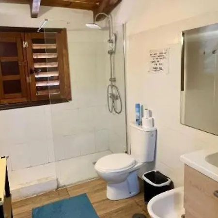 Auberge de jeunesse The Tree House Surf Camp *