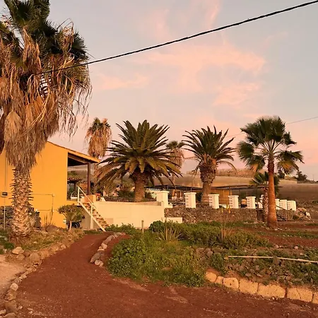 The Tree House Surf Camp Hostel *