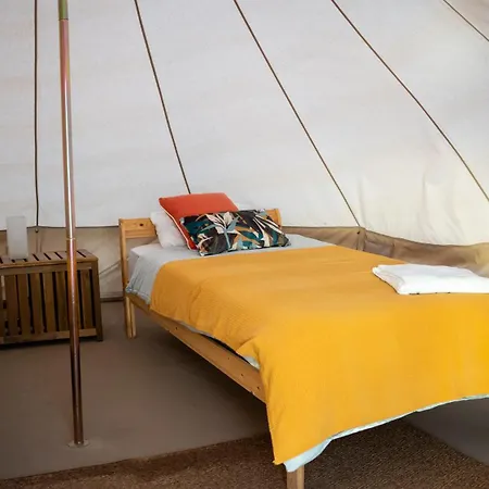 The Tree House Surf Camp *