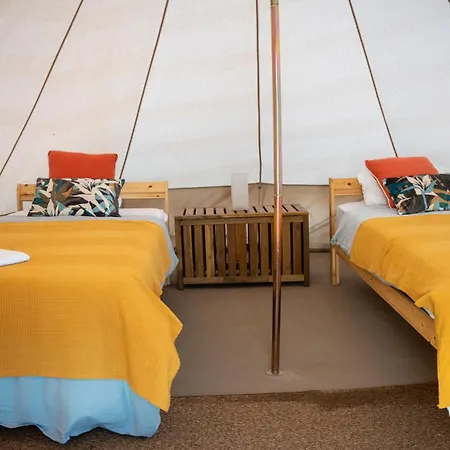 Hostel The Tree House Surf Camp Costa Adeje (Tenerife)