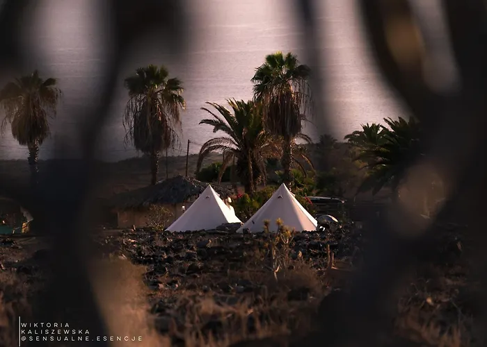 The Tree House Surf Camp Hostal *