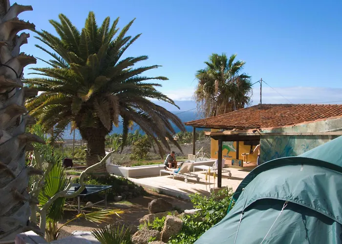 The Tree House Surf Camp Hostal *
