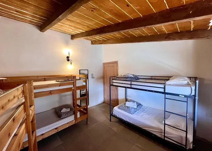 The Tree House Surf Camp Hostal