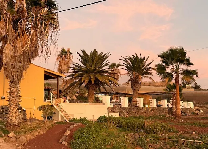 The Tree House Surf Camp Hostel *